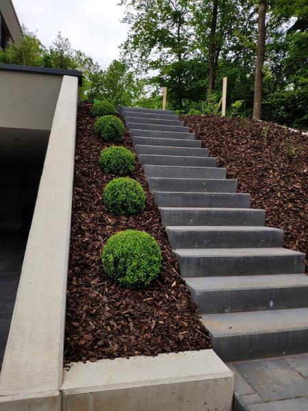 Image 9 : Spécialiste aménagement jardin à Colmar-Berg : Luxforêt et Jardin Sàrl