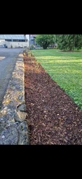 Image 34 : Spécialiste aménagement jardin à Bertrange : TMB Green-Lux Sarl