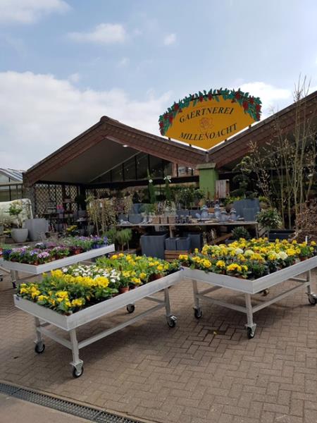 Image 2 : Fleuriste à Echternach : Gärtnerei Millenoacht