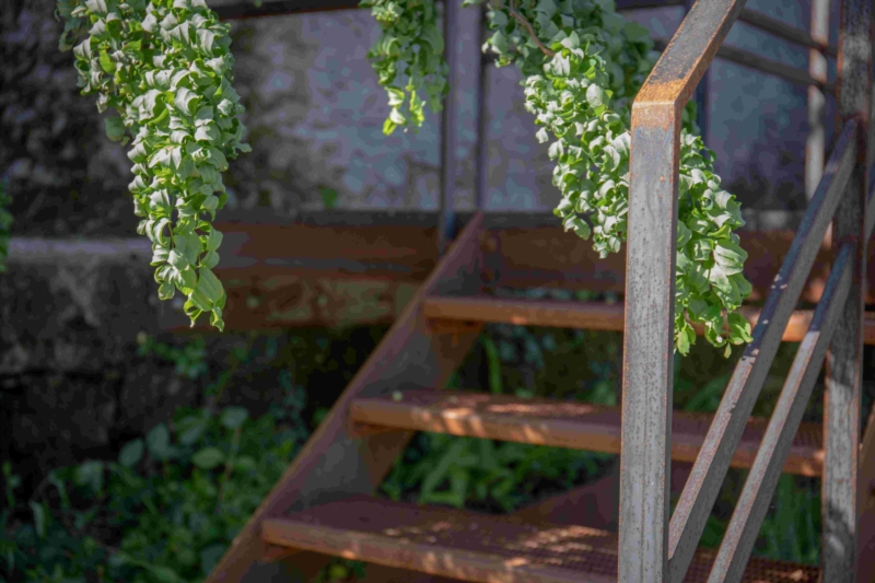 Image 22 : Jardin et espace vert à Tandel : Pépinières Gillen Sàrl