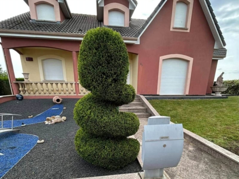 Image 5 : Aménagement paysager à Differdange : IntelPlante - Paysagiste & Jardinier