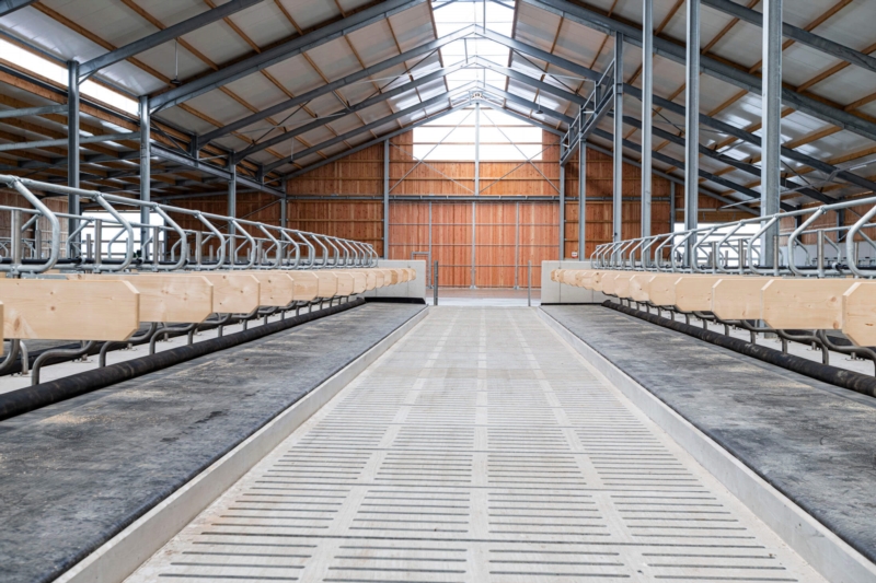 Image 8 : Entrepreneur en bâtiment à Fischbach (Clervaux) : IBB Baugesellschaft