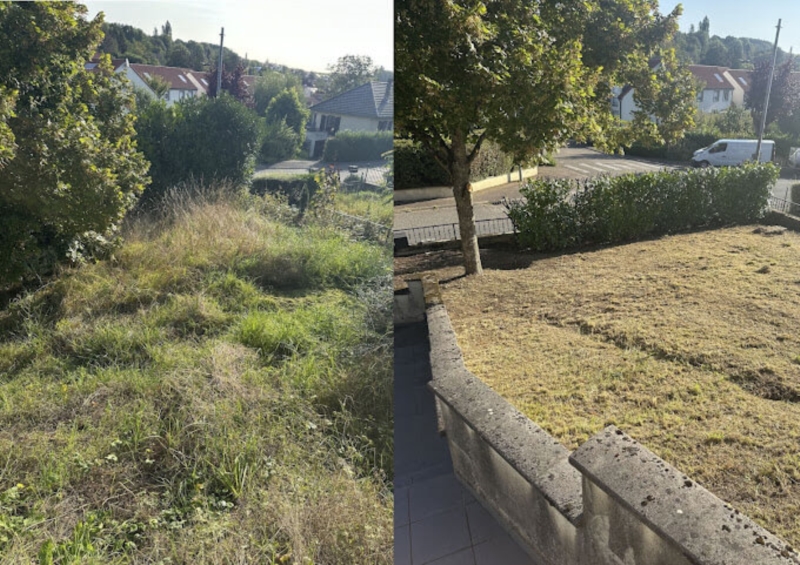 Image 5 : Aménagement paysager à Rodange : Vert Veine Creation Sàrl