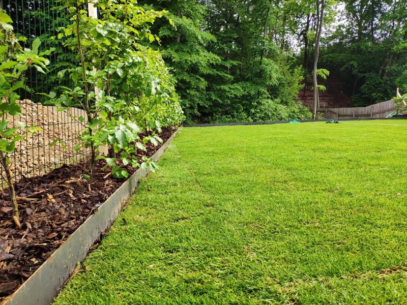 Image 10 : Spécialiste aménagement jardin à Colmar-Berg : Luxforêt et Jardin Sàrl