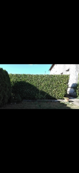 Image 37 : Spécialiste aménagement jardin à Bertrange : TMB Green-Lux Sarl