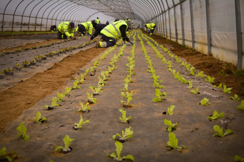 Image 15 : Réinsertion professionnelle à Contern : ProActif SIS