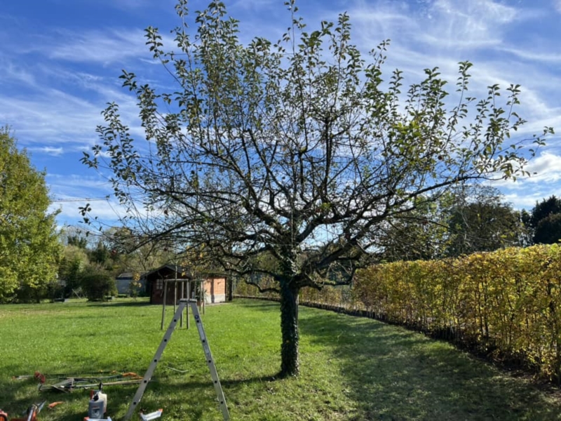 Image 7 : Aménagement paysager à Esch-sur-Alzette : PS Jardinage Paysagiste Sàrl