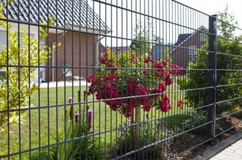 Image 6 : Traitement contre l'humidité à Bous : Geobau Sàrl