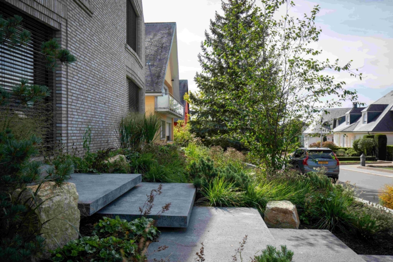 Image 23 : Jardin et espace vert à Tandel : Pépinières Gillen Sàrl