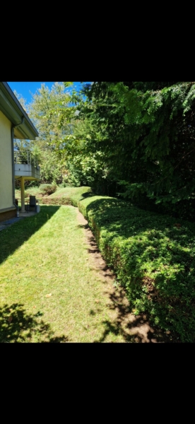 Image 38 : Spécialiste aménagement jardin à Bertrange : TMB Green-Lux Sarl