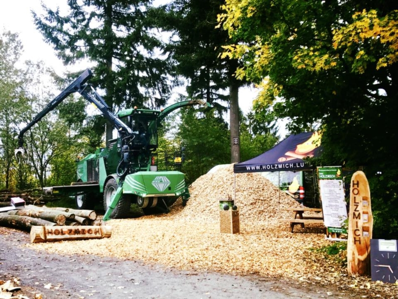 Image 4 : Coupe et taille d’arbres à Gilsdorf : Den Holzmich