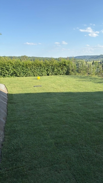 Image 7 : Jardin et espace vert à Bettembourg : Jardins Verts Sàrl