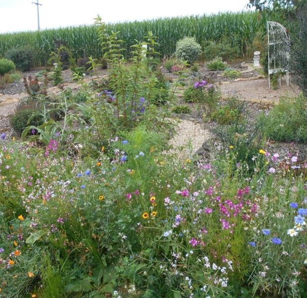 Image 12 : Spécialiste aménagement jardin à Nagem : Jardin du Soleil