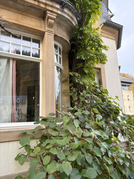 Image 10 : Fenêtre à Bascharage : Fermotec