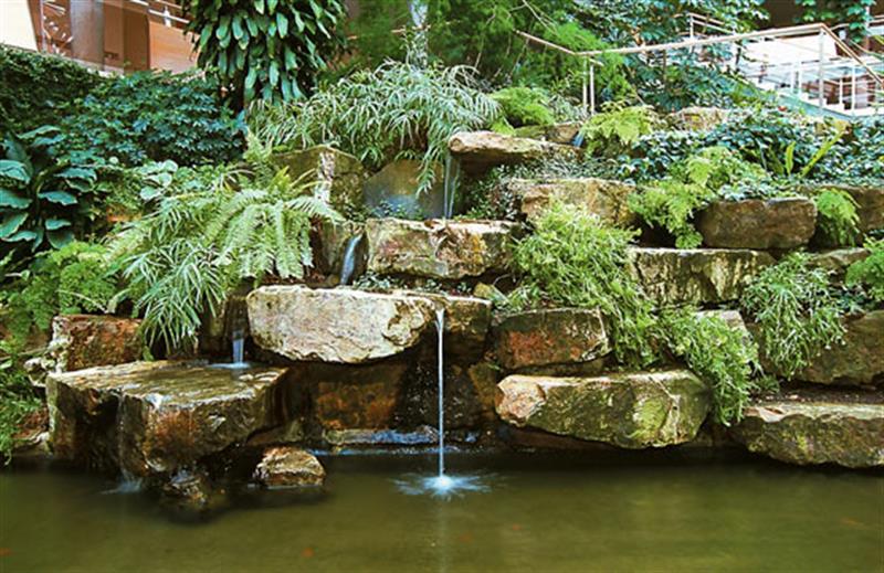 Image 9 : Service de jardinage à Mertert : Gartenbau und Landschaftsbau Mock
