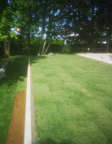 Image 18 : Jardin et espace vert à Limpach : Green Space