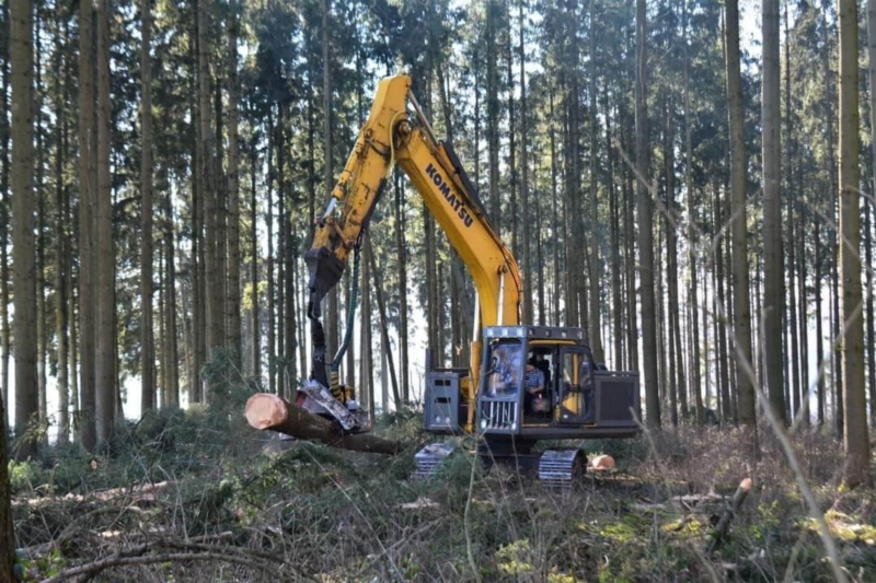 Image 11 : Exploitation forestière à Steinfort : Goffinet Bois SA