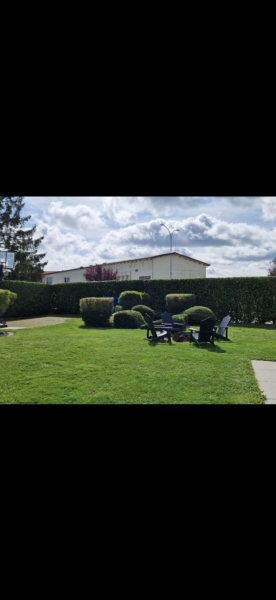 Image 40 : Spécialiste aménagement jardin à Bertrange : TMB Green-Lux Sarl