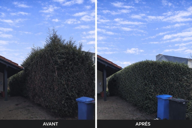 Image 10 : Société de nettoyage à Grevenmacher : D&B Group (Jardinage & Nettoyage)