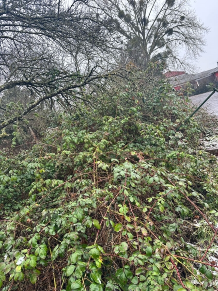 Image 13 : Aménagement paysager à Dudelange : Natural Garden's Cardose & Fortes SARLS