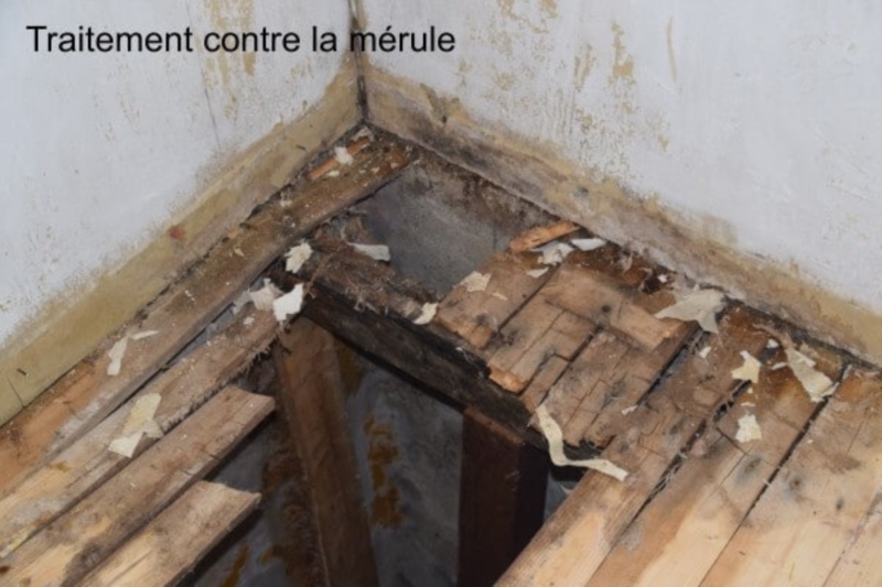 Image 8 : Étanchéité du bâtiment à Rombach-Martelange : Clément Frédéric - Traitement de l'humidité