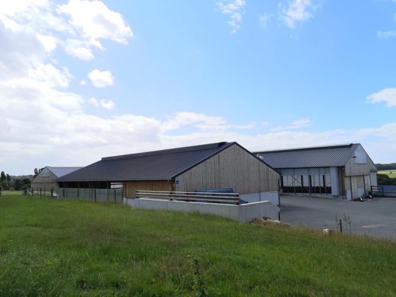 Image 18 : Entrepreneur en bâtiment à Fischbach (Clervaux) : IBB Baugesellschaft