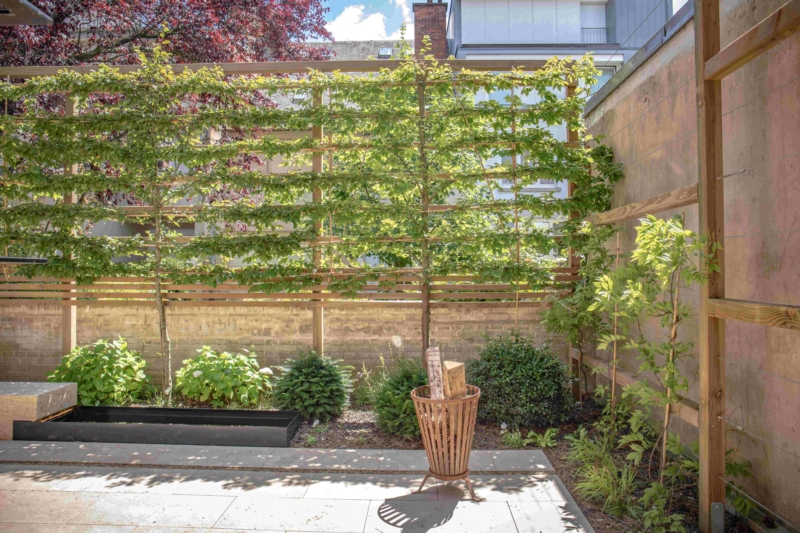 Image 28 : Jardin et espace vert à Tandel : Pépinières Gillen Sàrl
