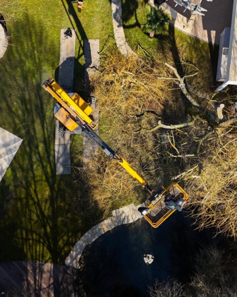 Image 25 : Jardinier à Esch-sur-Alzette : S&T Creation Sàrl