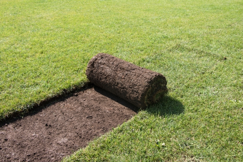 Image 8 : Aménagement paysager à Grass : Greenplanet Sàrl