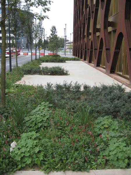 Image 11 : Spécialiste aménagement jardin à Hivange : Blumenthal Jardinage & Hydroculture