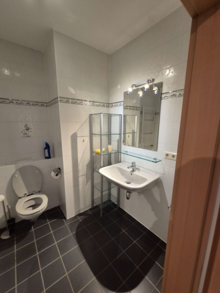 Image 40 : Sanitaire à Bertrange : Lux Salle de Bain Sàrl