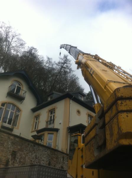 Image 5 : Coupe et taille d’arbres à Hautcharage : TreeTime