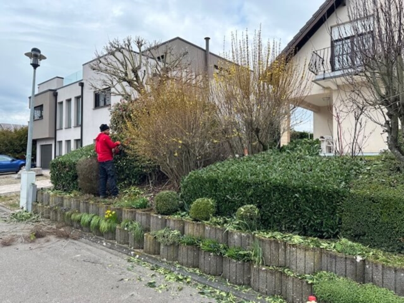 Image 12 : Aménagement paysager à Dudelange : Natural Garden's Cardose & Fortes SARLS
