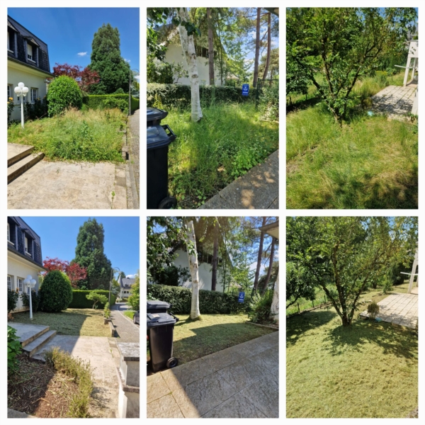 Image 41 : Spécialiste aménagement jardin à Bertrange : TMB Green-Lux Sarl