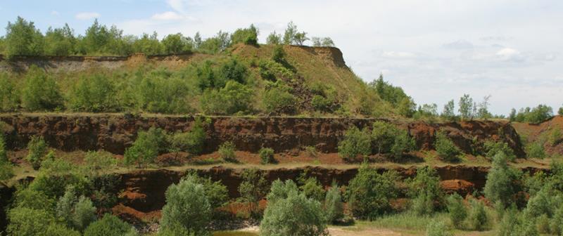 Image 5 : Exploitation forestière à Diekirch : Bonafor Sàrl