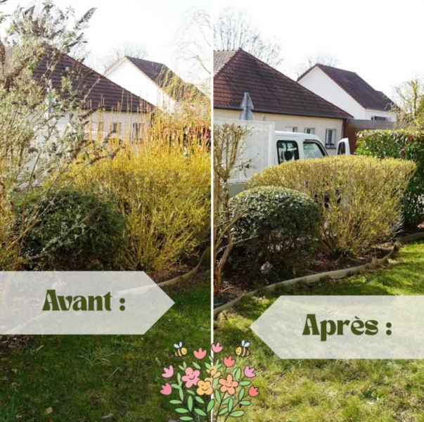 Image 9 : Aménagement paysager à Villers-la-Montagne : Eco Tonte