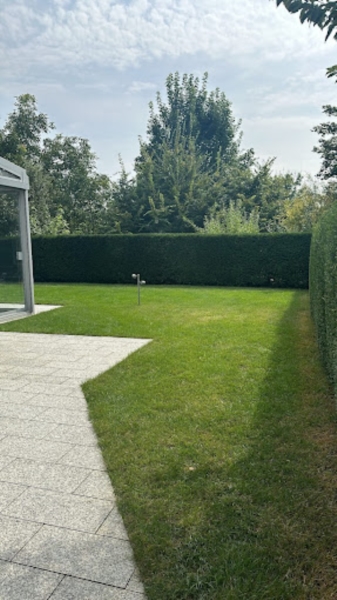 Image 8 : Aménagement paysager à Rodange : Vert Veine Creation Sàrl